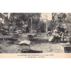 Rare collectable postcards of Tunisia. Vintage Postcards of Tunisia