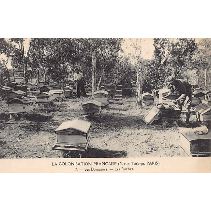 Rare collectable postcards of Tunisia. Vintage Postcards of Tunisia