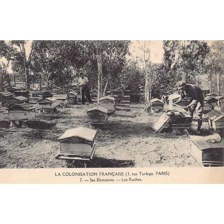 Rare collectable postcards of Tunisia. Vintage Postcards of Tunisia