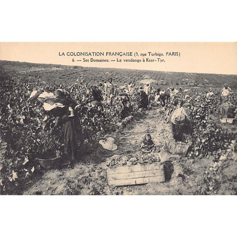 Rare collectable postcards of Tunisia. Vintage Postcards of Tunisia