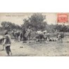 Rare collectable postcards of Tunisia. Vintage Postcards of Tunisia