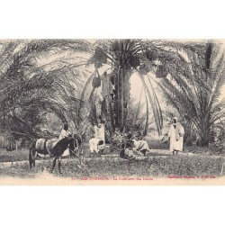 Rare collectable postcards of Tunisia. Vintage Postcards of Tunisia