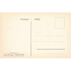 Rare collectable postcards of Israel / Palestine. Vintage Postcards of Israel / Palestine