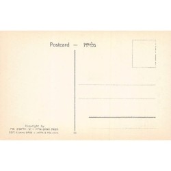 Rare collectable postcards of Israel / Palestine. Vintage Postcards of Israel / Palestine