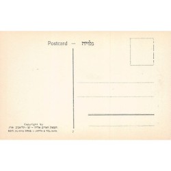 Rare collectable postcards of Israel / Palestine. Vintage Postcards of Israel / Palestine