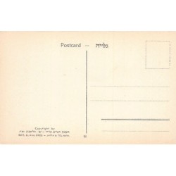 Rare collectable postcards of Israel / Palestine. Vintage Postcards of Israel / Palestine