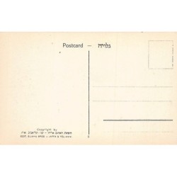 Rare collectable postcards of Israel / Palestine. Vintage Postcards of Israel / Palestine