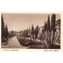 Rare collectable postcards of Israel / Palestine. Vintage Postcards of Israel / Palestine