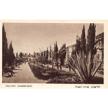 Rare collectable postcards of Israel / Palestine. Vintage Postcards of Israel / Palestine