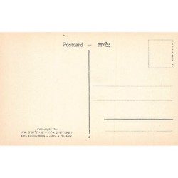 Rare collectable postcards of Israel / Palestine. Vintage Postcards of Israel / Palestine