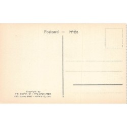 Rare collectable postcards of Israel / Palestine. Vintage Postcards of Israel / Palestine