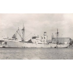 Rare collectable postcards of Israel / Palestine. Vintage Postcards of Israel / Palestine