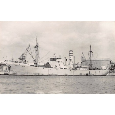 Rare collectable postcards of Israel / Palestine. Vintage Postcards of Israel / Palestine