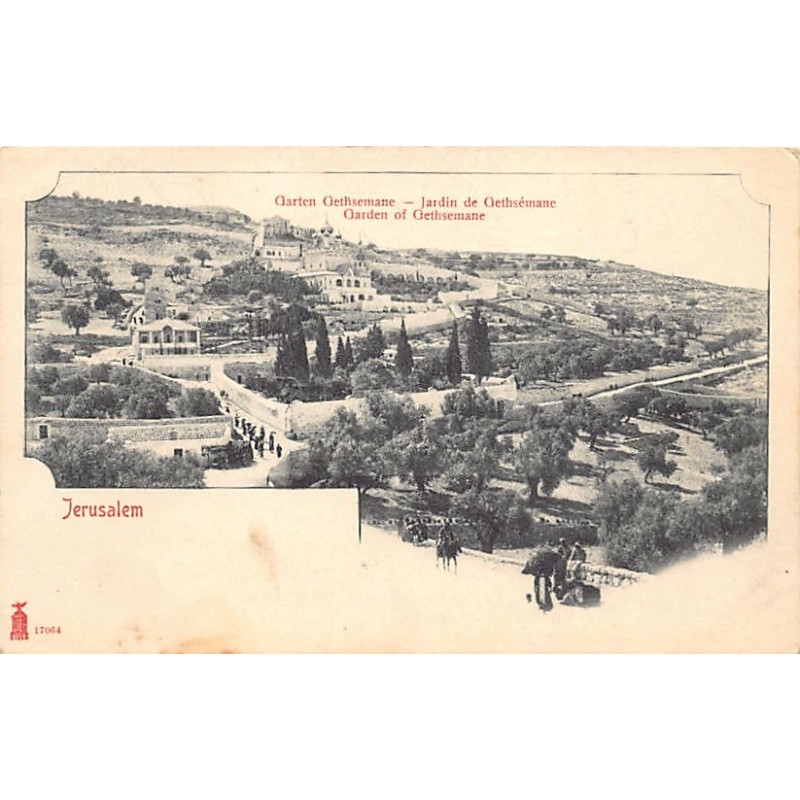 Rare collectable postcards of Israel / Palestine. Vintage Postcards of Israel / Palestine