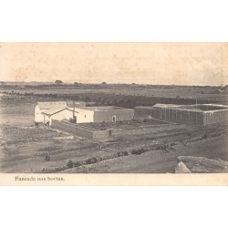 Rare collectable postcards of ANGOLA. Vintage Postcards of ANGOLA