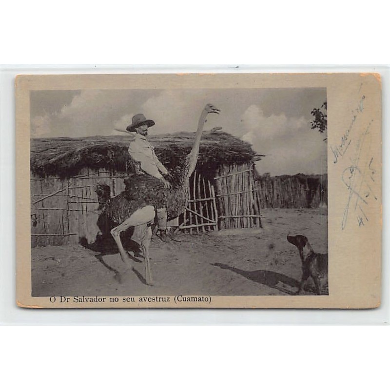 Rare collectable postcards of ANGOLA. Vintage Postcards of ANGOLA