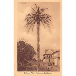 Rare collectable postcards of ANGOLA. Vintage Postcards of ANGOLA