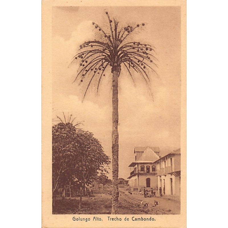 Rare collectable postcards of ANGOLA. Vintage Postcards of ANGOLA