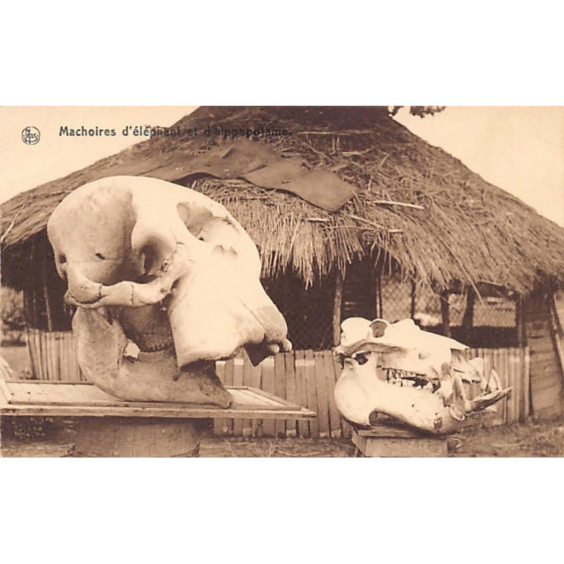 Rare collectable postcards of CONGO KINSHASA. Vintage Postcards of CONGO KINSHASA