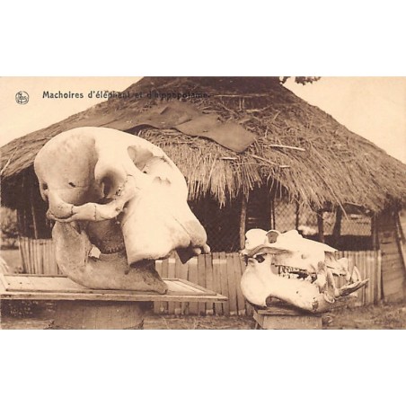 Rare collectable postcards of CONGO KINSHASA. Vintage Postcards of CONGO KINSHASA