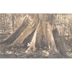 Rare collectable postcards of CONGO KINSHASA. Vintage Postcards of CONGO KINSHASA