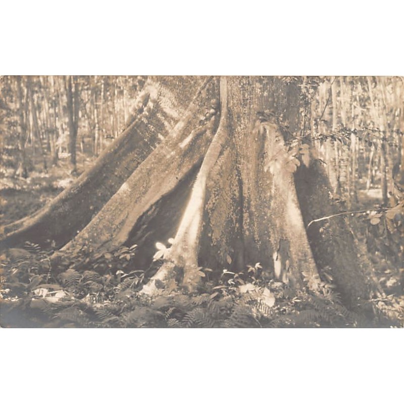 Rare collectable postcards of CONGO KINSHASA. Vintage Postcards of CONGO KINSHASA