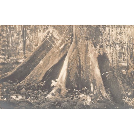 Rare collectable postcards of CONGO KINSHASA. Vintage Postcards of CONGO KINSHASA