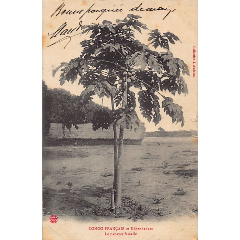 Rare collectable postcards of CONGO BRAZZAVILLE. Vintage Postcards of CONGO BRAZZAVILLE