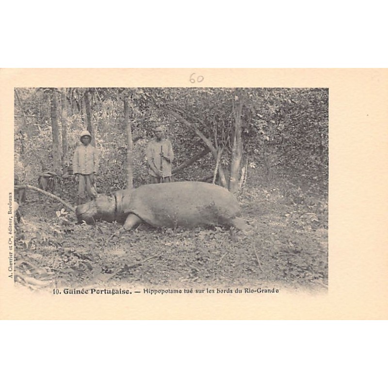 Rare collectable postcards of GUINEA BISSAU. Vintage Postcards of GUINEA BISSAU