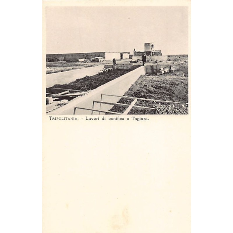 Rare collectable postcards of LIBYA. Vintage Postcards of LIBYA