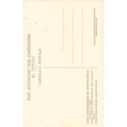 Rare collectable postcards of LIBYA. Vintage Postcards of LIBYA