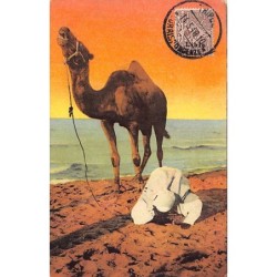 Rare collectable postcards of LIBYA. Vintage Postcards of LIBYA