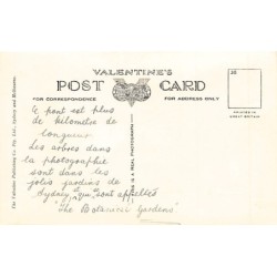 Rare collectable postcards of AUSTRALIA. Vintage Postcards of AUSTRALIA