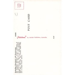 Rare collectable postcards of AUSTRALIA. Vintage Postcards of AUSTRALIA