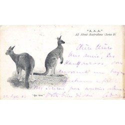 Rare collectable postcards of AUSTRALIA. Vintage Postcards of AUSTRALIA