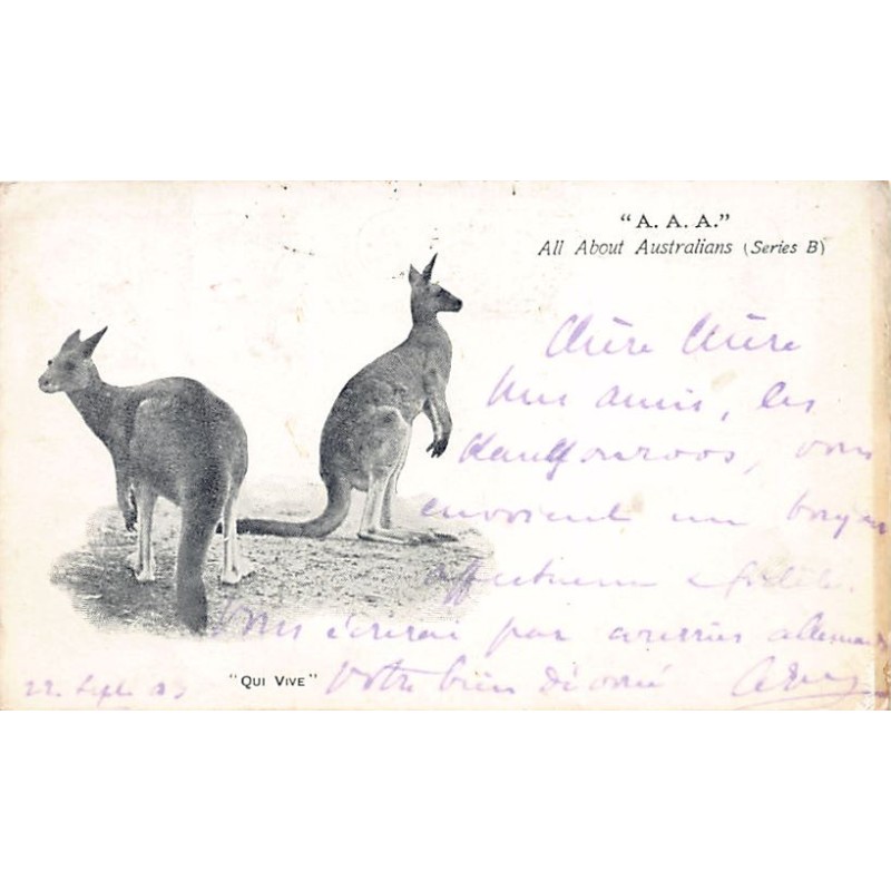 Rare collectable postcards of AUSTRALIA. Vintage Postcards of AUSTRALIA