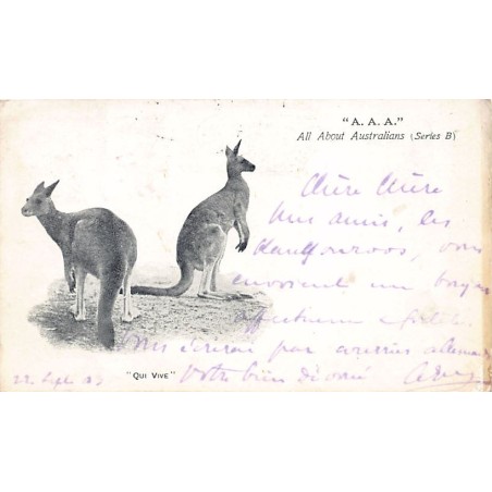 Rare collectable postcards of AUSTRALIA. Vintage Postcards of AUSTRALIA