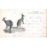 Rare collectable postcards of AUSTRALIA. Vintage Postcards of AUSTRALIA