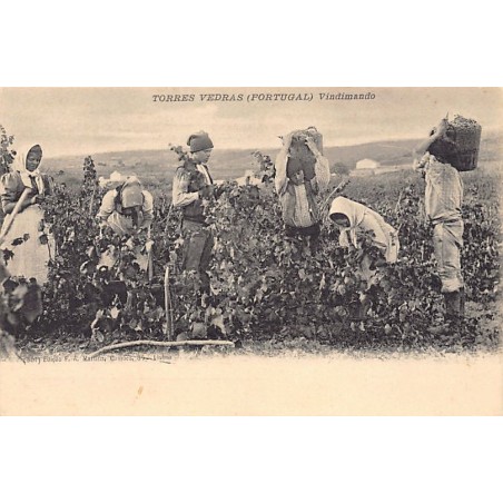 Rare collectable postcards of PORTUGAL. Vintage Postcards of PORTUGAL