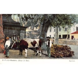 Rare collectable postcards of PORTUGAL. Vintage Postcards of PORTUGAL