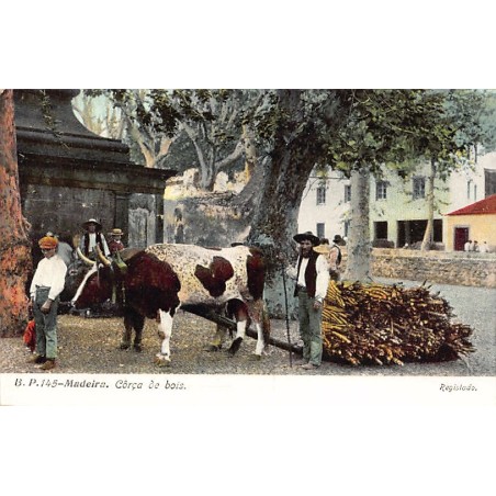 Rare collectable postcards of PORTUGAL. Vintage Postcards of PORTUGAL