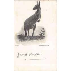 Rare collectable postcards of AUSTRALIA. Vintage Postcards of AUSTRALIA