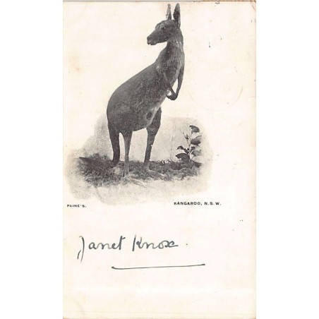 Rare collectable postcards of AUSTRALIA. Vintage Postcards of AUSTRALIA