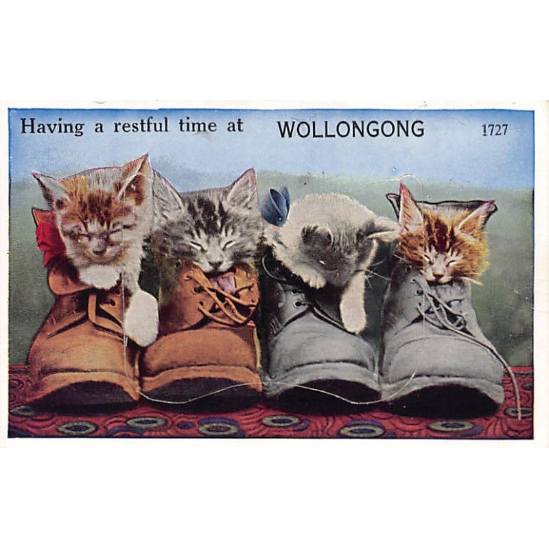 Rare collectable postcards of AUSTRALIA. Vintage Postcards of AUSTRALIA
