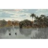 Rare collectable postcards of Australia. Vintage Postcards of Australia