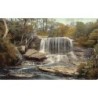Rare collectable postcards of Australia. Vintage Postcards of Australia