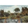 Rare collectable postcards of Australia. Vintage Postcards of Australia