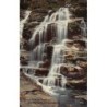 Rare collectable postcards of Australia. Vintage Postcards of Australia