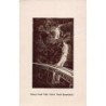 Rare collectable postcards of Australia. Vintage Postcards of Australia