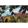 Rare collectable postcards of FRENCH POLYNESIA. Vintage Postcards of FRENCH POLYNESIA